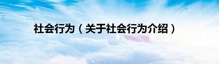  社会行为（关于社会行为介绍）