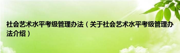  社会艺术水平考级管理办法（关于社会艺术水平考级管理办法介绍）