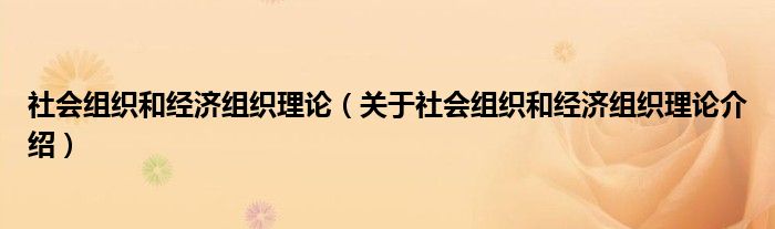  社会组织和经济组织理论（关于社会组织和经济组织理论介绍）