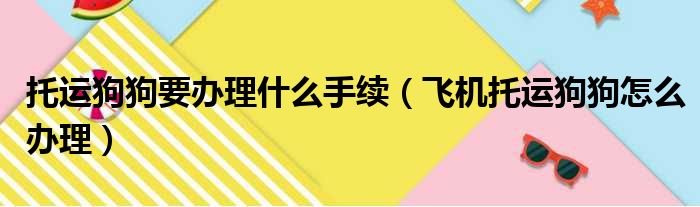 托运狗狗要办理什么手续（飞机托运狗狗怎么办理）