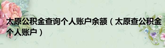 太原公积金查询个人账户余额（太原查公积金个人账户）