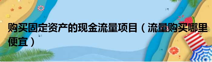 购买固定资产的现金流量项目（流量购买哪里便宜）