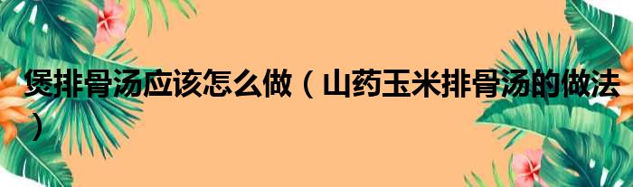 煲排骨汤应该怎么做（山药玉米排骨汤的做法）