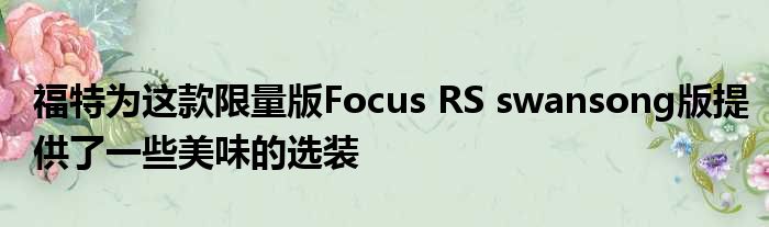 福特为这款限量版Focus RS swansong版提供了一些美味的选装