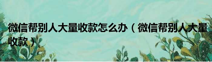 微信帮别人大量收款怎么办（微信帮别人大量收款）