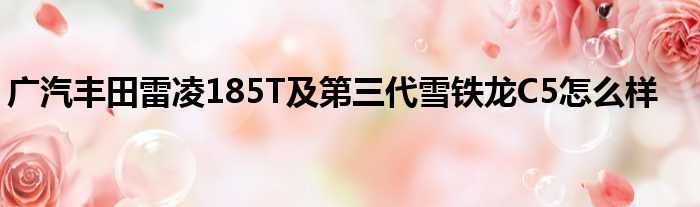 广汽丰田雷凌185T及第三代雪铁龙C5怎么样