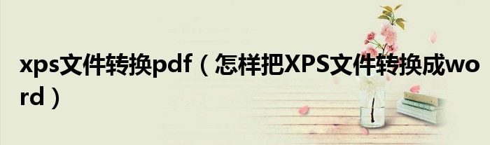 xps文件转换pdf（怎样把XPS文件转换成word）