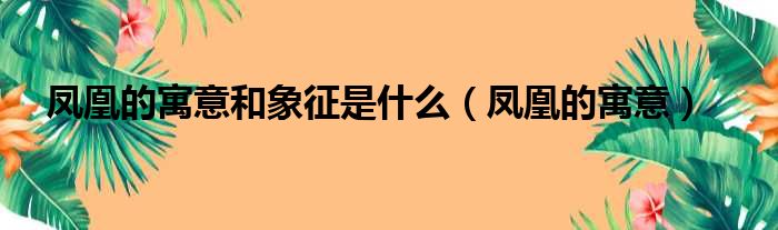 凤凰的寓意和象征是什么（凤凰的寓意）