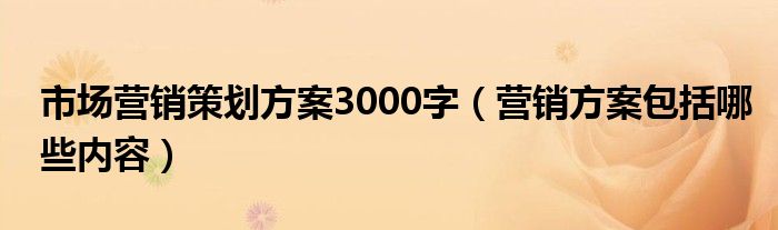 市场营销策划方案3000字（营销方案包括哪些内容）