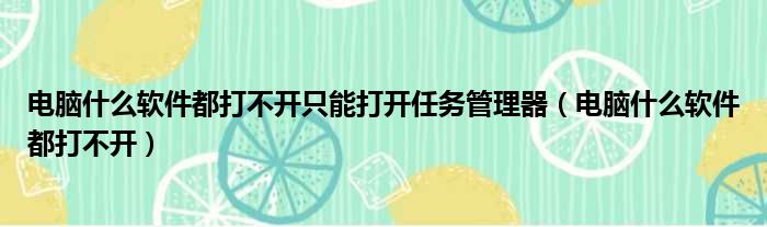 电脑什么软件都打不开只能打开任务管理器（电脑什么软件都打不开）