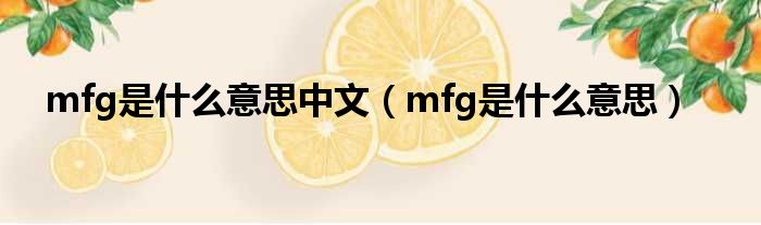 mfg是什么意思中文（mfg是什么意思）