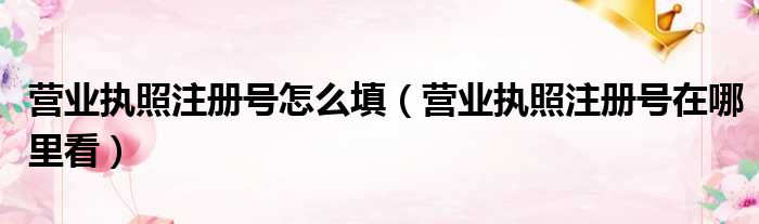 营业执照注册号怎么填（营业执照注册号在哪里看）