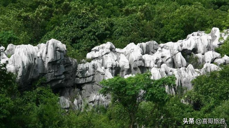 景德镇周边旅游景点大全 自驾车旅游（景德镇旅游景点必去）(图7)