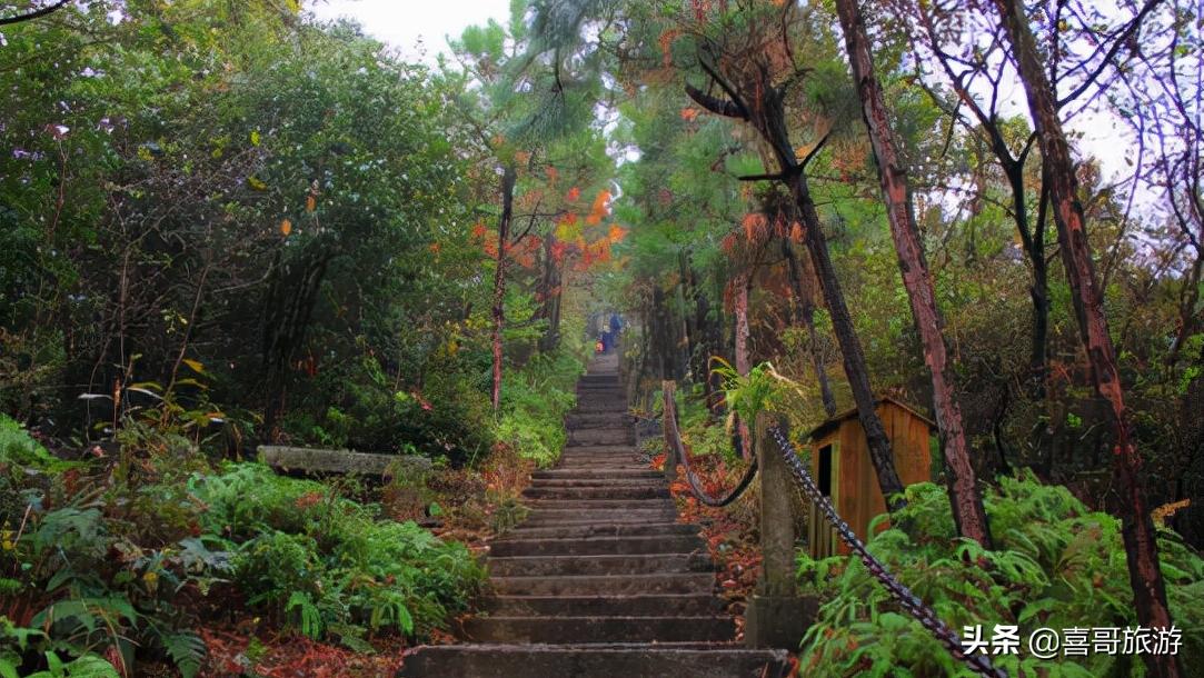 景德镇周边旅游景点大全 自驾车旅游（景德镇旅游景点必去）(图8)