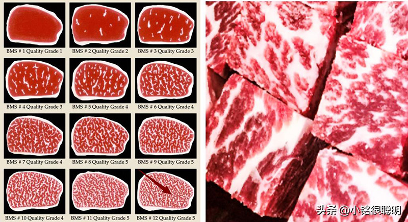 日本和牛属于什么等级（和牛等级怎么区分）(图3)