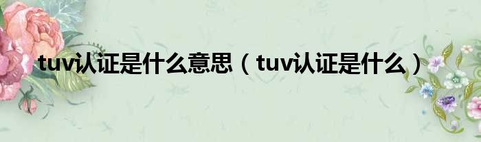 tuv认证是什么意思（tuv认证是什么）