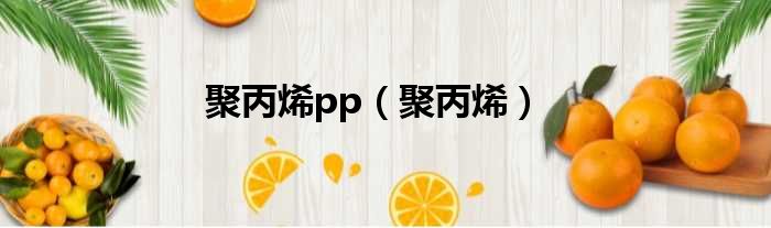 聚丙烯pp（聚丙烯）