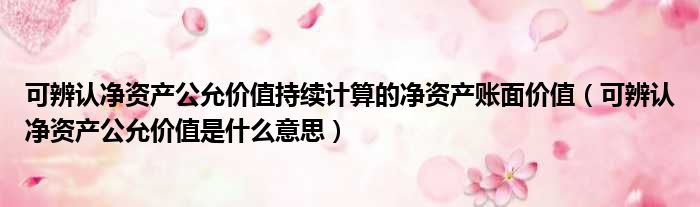 可辨认净资产公允价值持续计算的净资产账面价值（可辨认净资产公允价值是什么意思）