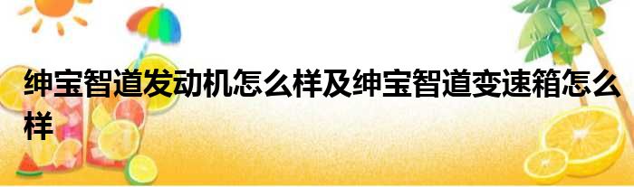 绅宝智道发动机怎么样及绅宝智道变速箱怎么样