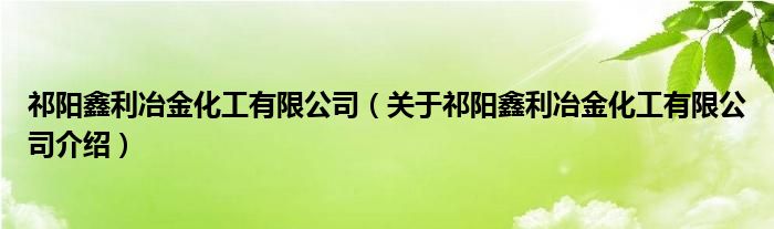  祁阳鑫利冶金化工有限公司（关于祁阳鑫利冶金化工有限公司介绍）