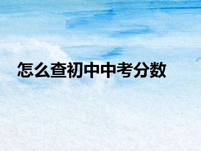 怎么查初中中考分数