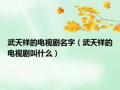 武天祥的电视剧名字（武天祥的电视剧叫什么）