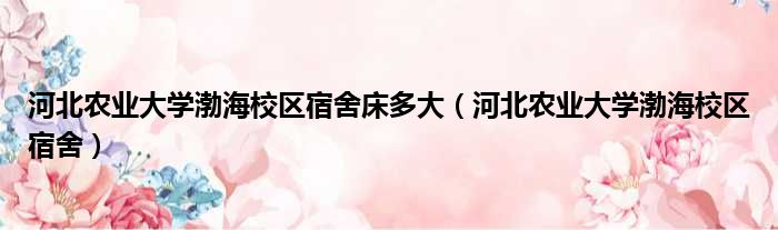 河北农业大学渤海校区宿舍床多大（河北农业大学渤海校区宿舍）