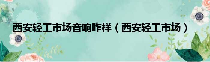 西安轻工市场音响咋样（西安轻工市场）