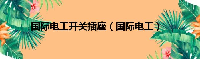 国际电工开关插座（国际电工）