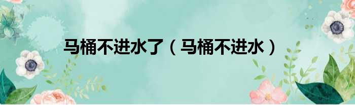 马桶不进水了（马桶不进水）