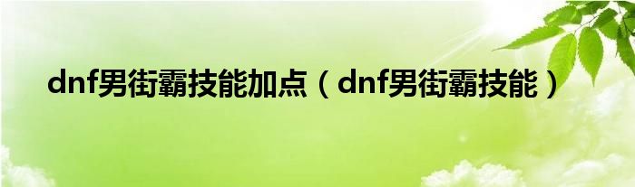 dnf男街霸技能加点（dnf男街霸技能）