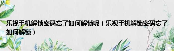 乐视手机解锁密码忘了如何解锁呢（乐视手机解锁密码忘了如何解锁）