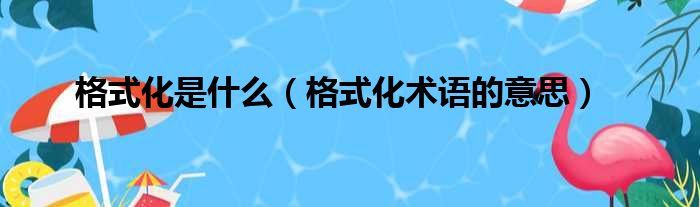 格式化是什么（格式化术语的意思）