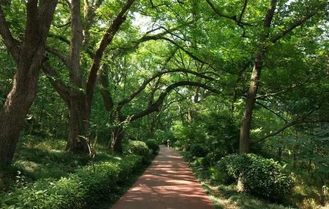 江苏旅游必去十大景点简介（江苏旅游景点大全景点排名）(图7)