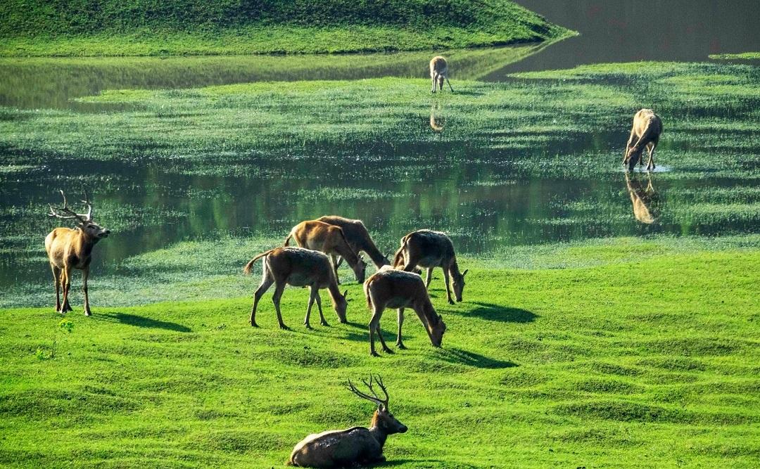 江苏旅游必去十大景点简介（江苏旅游景点大全景点排名）(图69)