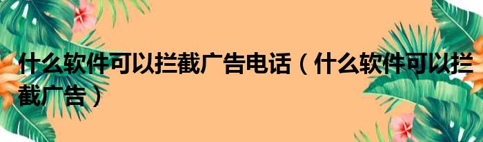 什么软件可以拦截广告电话（什么软件可以拦截广告）