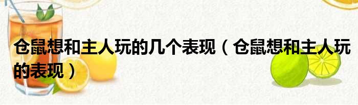 仓鼠想和主人玩的几个表现（仓鼠想和主人玩的表现）