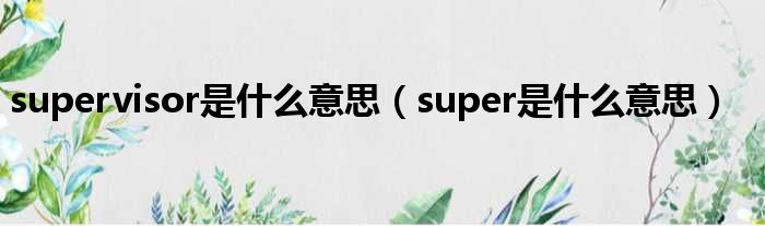 supervisor是什么意思（super是什么意思）