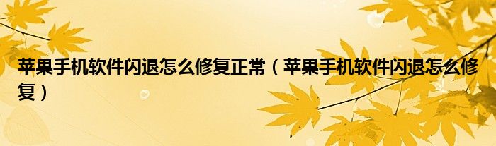 苹果手机软件闪退怎么修复正常（苹果手机软件闪退怎么修复）