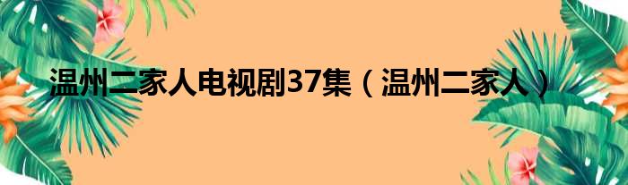 温州二家人电视剧37集（温州二家人）