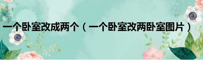 一个卧室改成两个（一个卧室改两卧室图片）