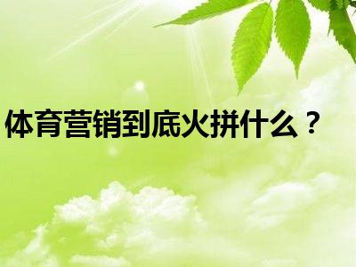 体育营销到底火拼什么？