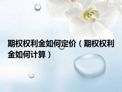 期权权利金如何定价（期权权利金如何计算）