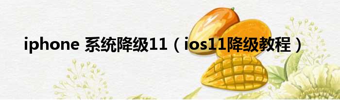 iphone 系统降级11（ios11降级教程）