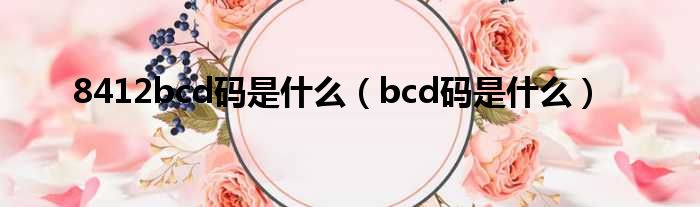 8412bcd码是什么（bcd码是什么）