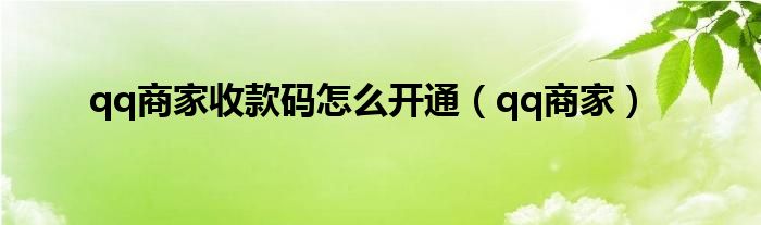 qq商家收款码怎么开通（qq商家）