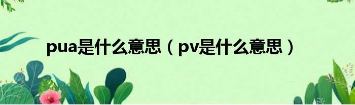 pua是什么意思（pv是什么意思）