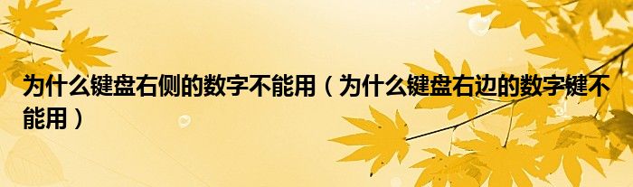 为什么键盘右侧的数字不能用（为什么键盘右边的数字键不能用）