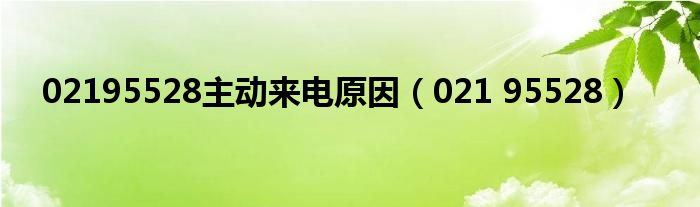 02195528主动来电原因（021 95528）