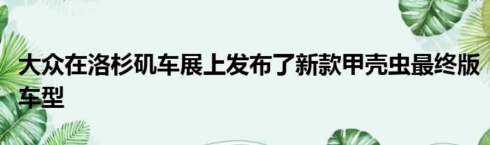 大众在洛杉矶车展上发布了新款甲壳虫最终版车型